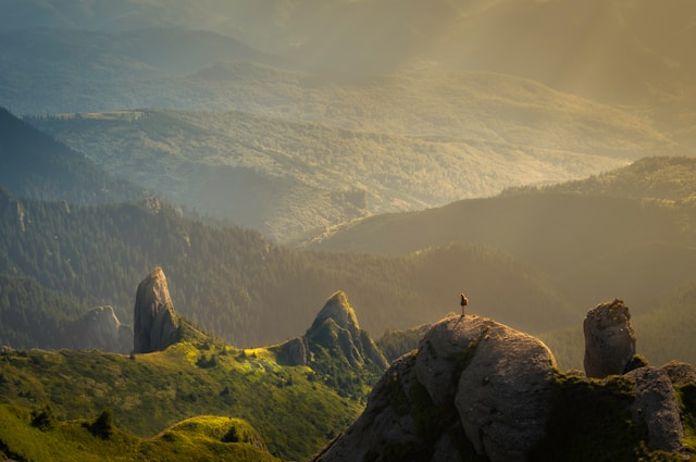 The Healing Power of Nature During The Fall